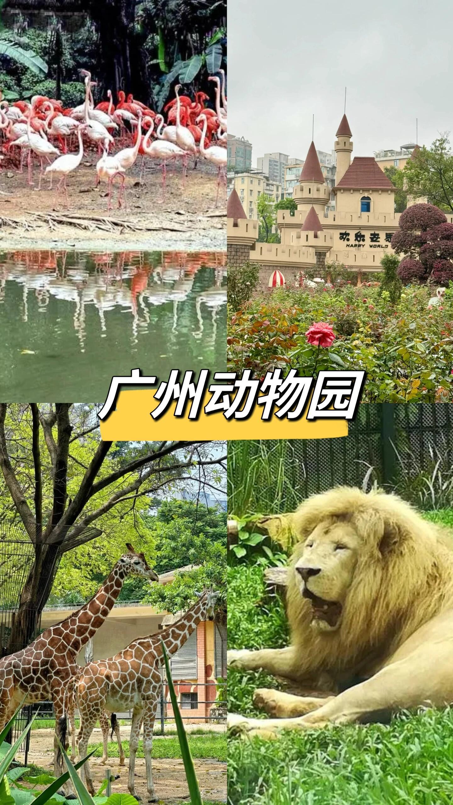 https://qcloud.dpfile.com/pc/XQanh25nuK55pQSYjzElRGqSoA08BrK60lToV5Y7O_Rv2vmu8ONiD4xnvTzQIOOtY0q73sB2DyQcgmKUxZFQtw.jpg