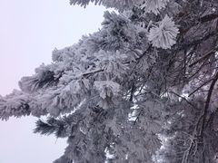 -安吉龙王山风景区