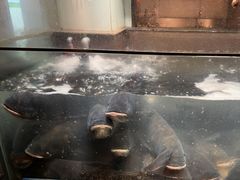 -上名堂·鱼头好吃(体育场路店)