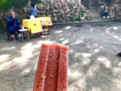 -北山公园
