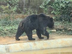 -昆明动物园