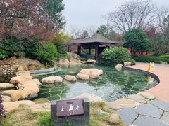 -航空小镇温泉