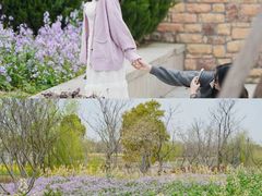 -杭州湾海上花田景区