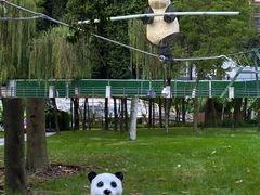 -成都市活水公园