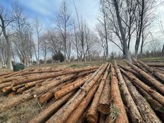 -泗洪洪泽湖湿地景区