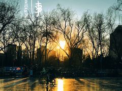 -莲花池公园