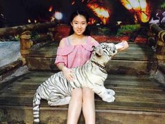 -清迈夜间动物园