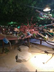 -酷嗒动物文化乐园(cutezoo西溪乐天城店)