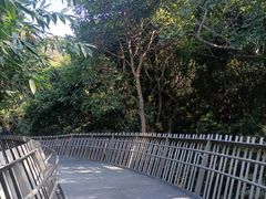-福道