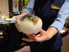 -肆月河豚·淮扬菜·湘菜(华天店)