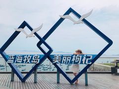 -枸杞岛