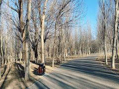 -东郊湿地公园