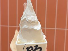 -野人先生现做冰淇淋(贵阳万象汇店)