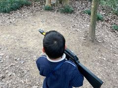 -杭州少年儿童公园
