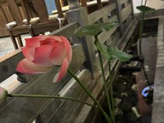 -徽镇小厨·经典徽菜(十里河店)