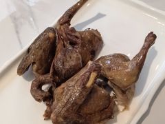 卤水乳鸽-琬苑鸽庄·川粤融合菜(解放碑总店)