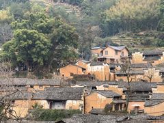 -杨家堂村