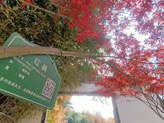 -洛阳市隋唐城遗址植物园