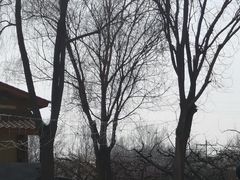 -意大利农场度假村