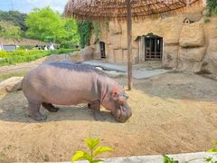 -沈阳森林动物园