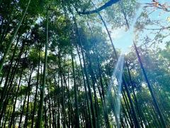 -穹窿山景区