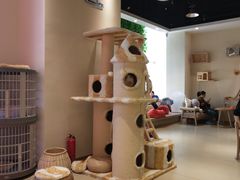 -藏猫猫咖啡主题馆(中央大道店)