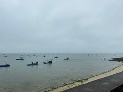 -北海金海湾红树林生态旅游区