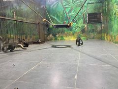 -西安秦岭野生动物园