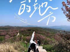 -四明山国家森林公园