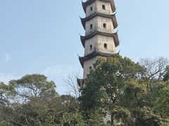 -江心屿景区