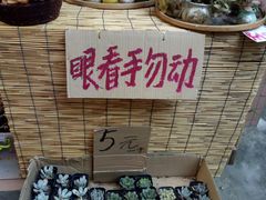 -小洲村