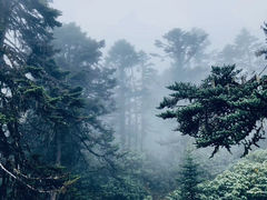 -海螺沟风景区