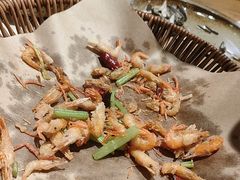 -鸽子窝(青塔店)