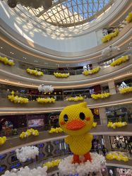 -多奇妙儿童乐园(昆山吾悦店)