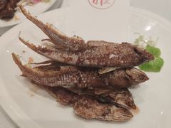 -新雅粤菜馆(南京东路店)