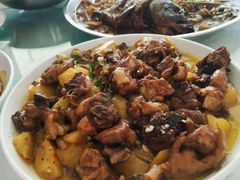 -庆岭迎宾园正宗活鱼馆