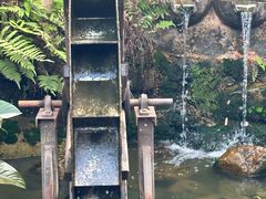 -观澜山水田园