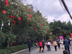 -金鸡山公园