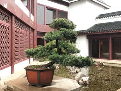 -苏州吴宫泛太平洋酒店