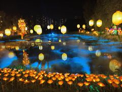 -洋湖国家湿地公园
