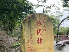 -火炉山森林公园
