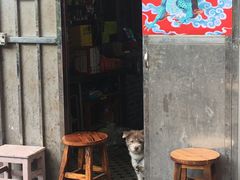 -司马街鸡煲(西华路店)