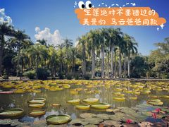 -中国科学院西双版纳热带植物园