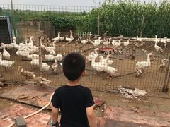 -上海崇明金茂凯悦酒店