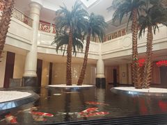 -唐山河头老街国丰维景国际大酒店