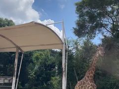 -泉州海丝野生动物世界