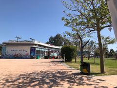 -亚龙湾中心广场