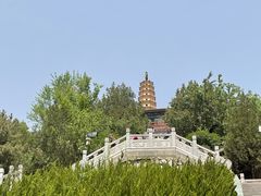 -白塔山公园