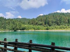 -武陵山森林公园