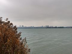 -无锡蠡湖国家湿地公园-蠡园